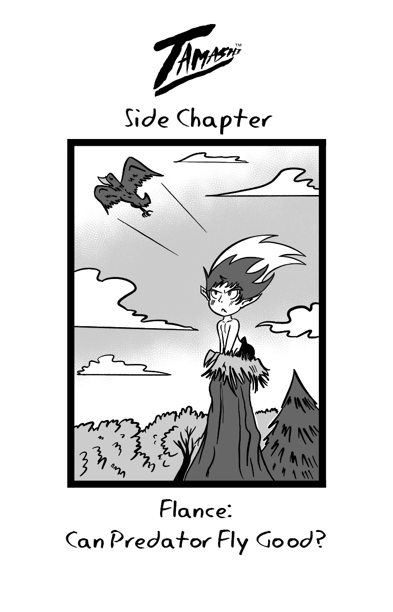 Side Chapter Flance Cover